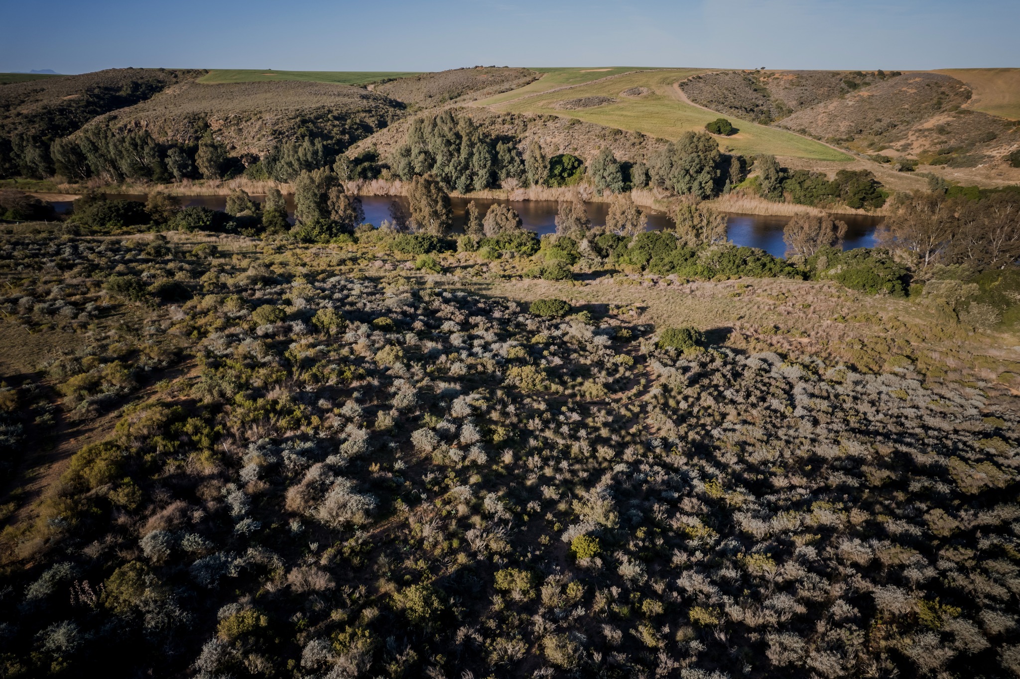 Exclusive Breede River accommodation - Renosterveld Eco Pods